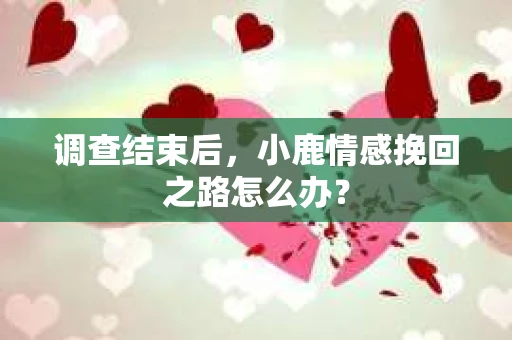 调查结束后，小鹿情感挽回之路怎么办？