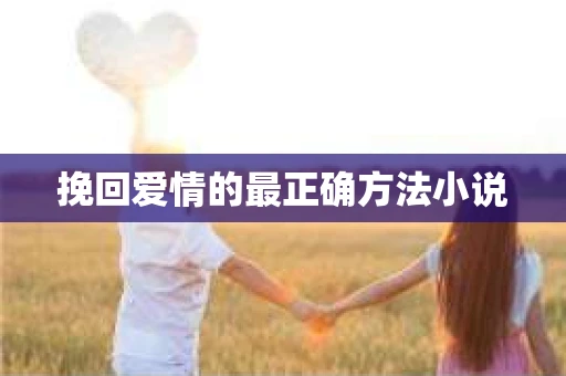 挽回爱情的最正确方法小说