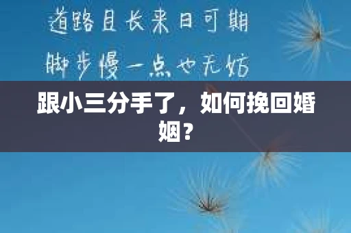 跟小三分手了，如何挽回婚姻？