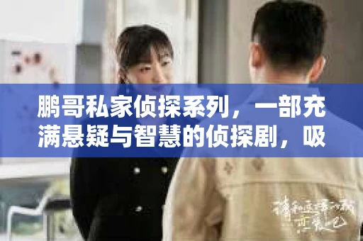 鹏哥私家侦探系列，一部充满悬疑与智慧的侦探剧，吸引了无数观众的眼球。今天，就让我带你走进这个充满神秘色彩的侦探世界，一起在线观看鹏哥私家侦探系列，感受那扣人心弦的故事情节。