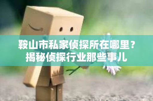 鞍山市私家侦探所在哪里？揭秘侦探行业那些事儿