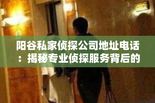 阳谷私家侦探公司地址电话：揭秘专业侦探服务背后的故事