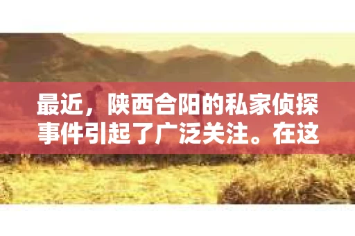 最近，陕西合阳的私家侦探事件引起了广泛关注。在这个信息爆炸的时代，隐私保护显得尤为重要。今天，我们就来聊聊这个事件，看看它背后的一些故事。