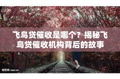飞鸟贷催收是哪个？揭秘飞鸟贷催收机构背后的故事