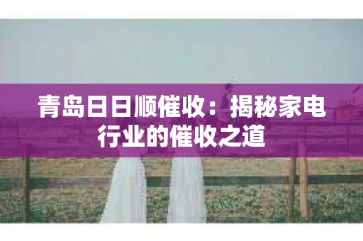 青岛日日顺催收：揭秘家电行业的催收之道