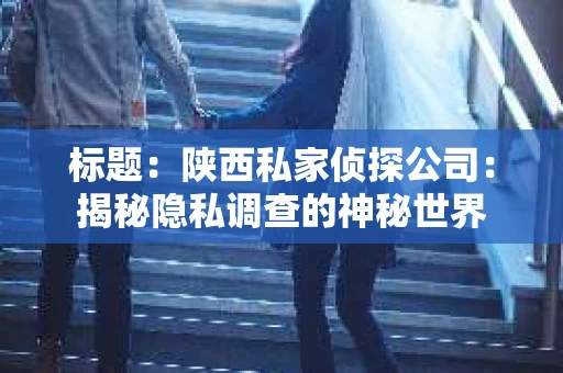 标题：陕西私家侦探公司：揭秘隐私调查的神秘世界