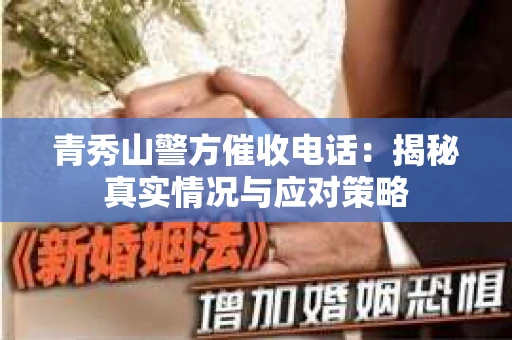 青秀山警方催收电话：揭秘真实情况与应对策略