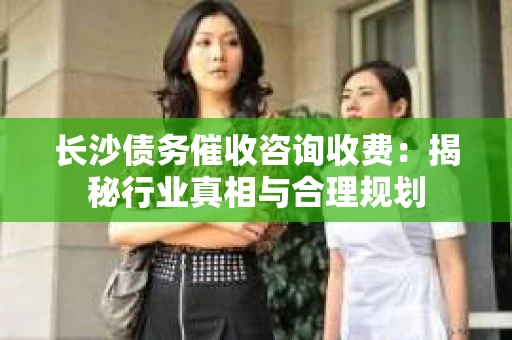 长沙债务催收咨询收费：揭秘行业真相与合理规划