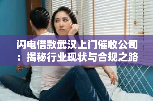闪电借款武汉上门催收公司：揭秘行业现状与合规之路