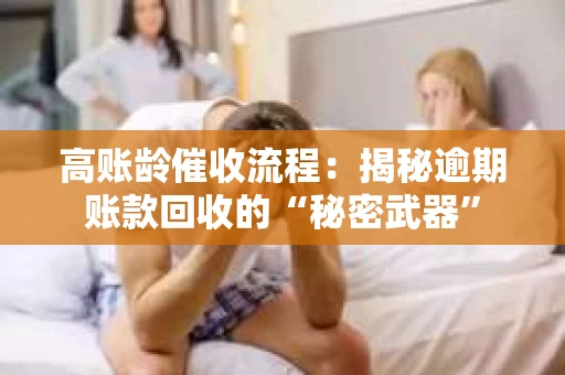 高账龄催收流程：揭秘逾期账款回收的“秘密武器”