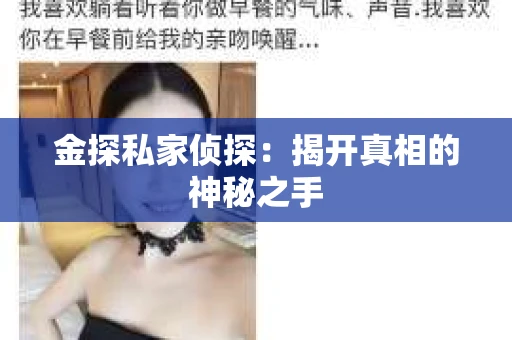 金探私家侦探：揭开真相的神秘之手