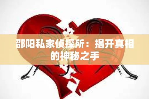 邵阳私家侦探所：揭开真相的神秘之手