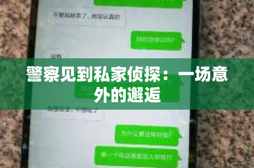 警察见到私家侦探：一场意外的邂逅
