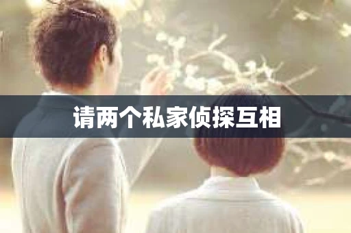 请两个私家侦探互相 请两个私家侦探互相