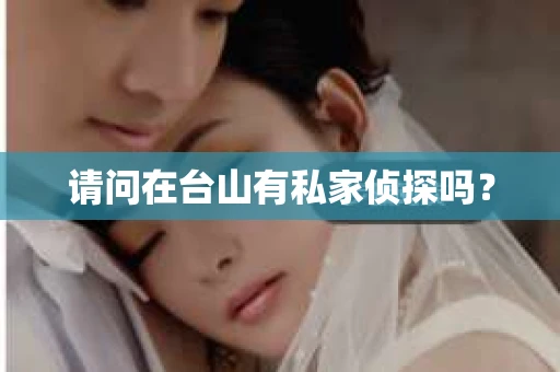 请问在台山有私家侦探吗？