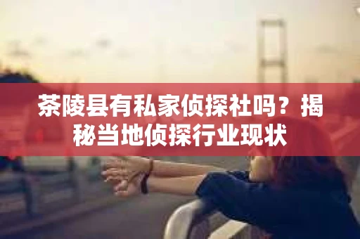 茶陵县有私家侦探社吗？揭秘当地侦探行业现状