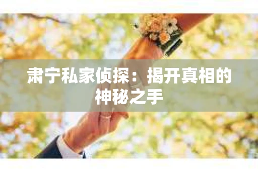 肃宁私家侦探：揭开真相的神秘之手
