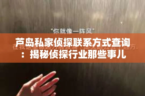 芦岛私家侦探联系方式查询：揭秘侦探行业那些事儿