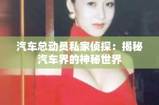 汽车总动员私家侦探：揭秘汽车界的神秘世界