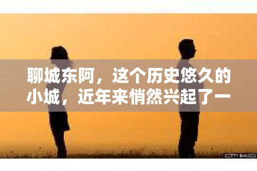 聊城东阿，这个历史悠久的小城，近年来悄然兴起了一股新的服务潮流——私家侦探。今天，我们就来聊聊这个话题，看看在聊城东阿，私家侦探是如何成为人们生活中的一部分的。