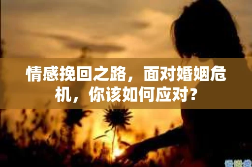 情感挽回之路，面对婚姻危机，你该如何应对？