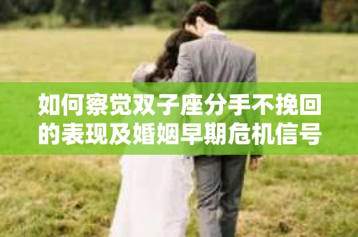 如何察觉双子座分手不挽回的表现及婚姻早期危机信号？
