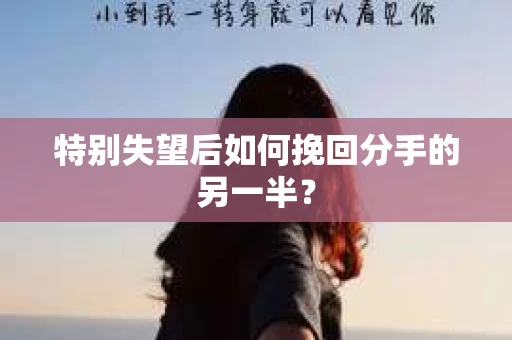 特别失望后如何挽回分手的另一半？