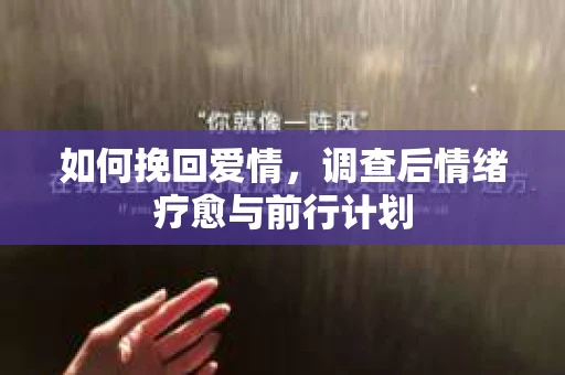 如何挽回爱情，调查后情绪疗愈与前行计划