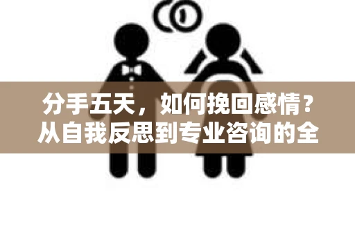 分手五天，如何挽回感情？从自我反思到专业咨询的全面解决方案
