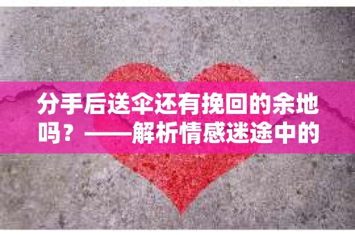 分手后送伞还有挽回的余地吗？——解析情感迷途中的决策