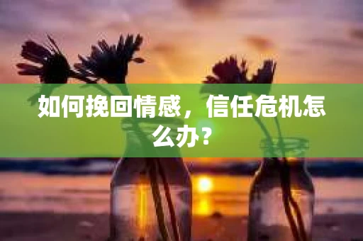如何挽回情感，信任危机怎么办？