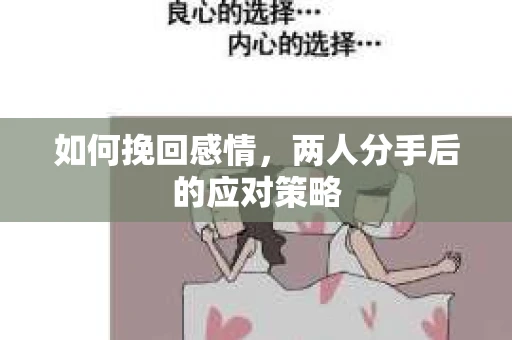 如何挽回感情,两人分手后的应对策略 如何挽回感情,两人分手后的应对策略