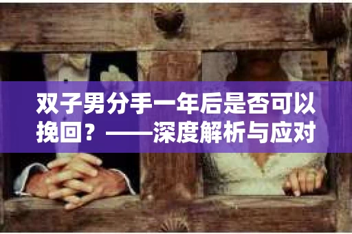 双子男分手一年后是否可以挽回？——深度解析与应对策略